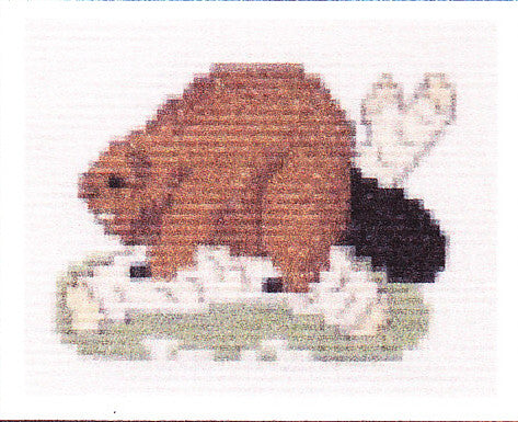 Beaver