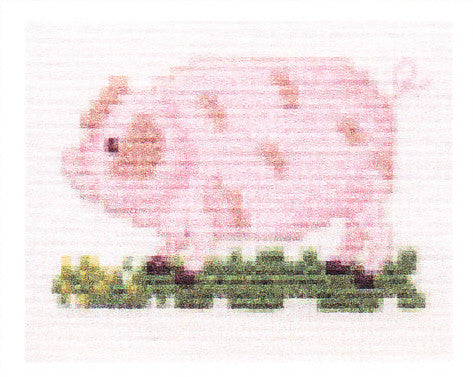 Pink Pig