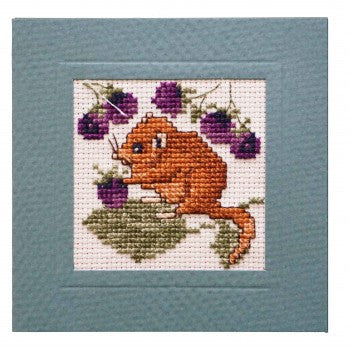 Dormouse