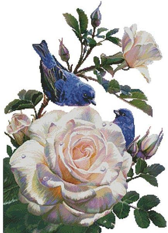 Birds of Happiness (no background)