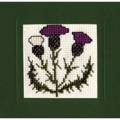 Scottish Thistle Card