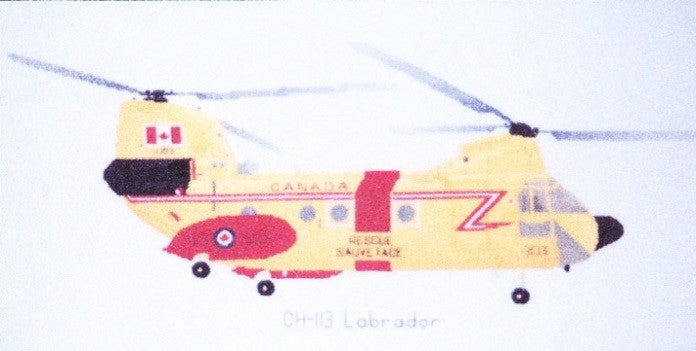 CH – 113 Labrador